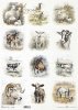 seria Early Spring - owce, konie, owieczki, kozy*sheep, horses, sheep, goats*Schafe, Pferde, Schafe, Ziegen*ovejas, caballos, ovejas, cabras